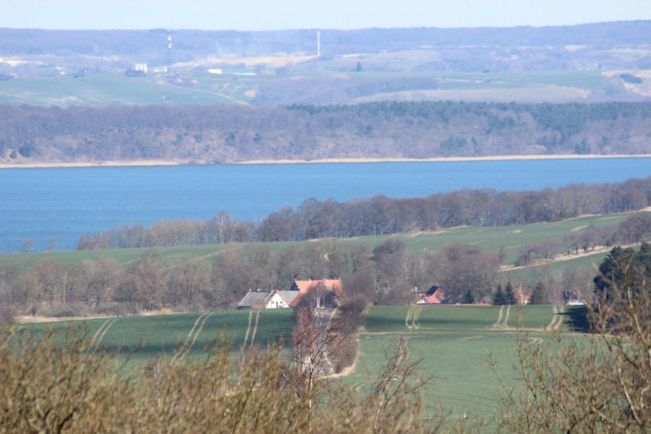 Ferienwohnung-Amsel-Kinderfreundliche-Unterkunft-In-Zentraler-Lage Берген-ауф-Рюген Экстерьер фото